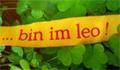 Logo - bin im leo